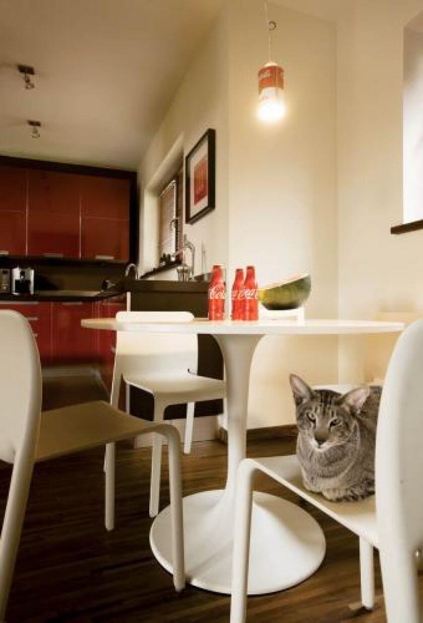 Biały stolik i krzesła. Klasyka, plakaty i trochę pop-artu