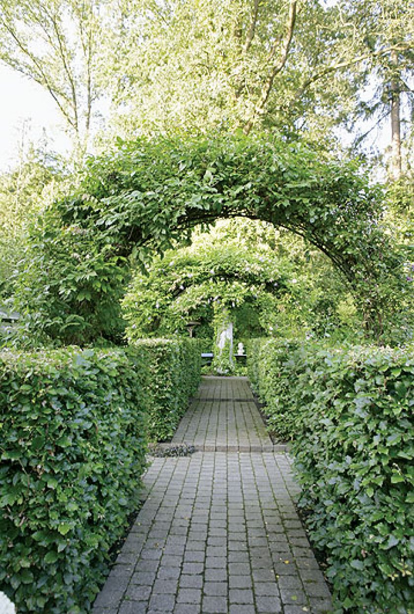 Pergolę oplotła glicynia, roślina typowa dla wiktoriańskich ogrodów