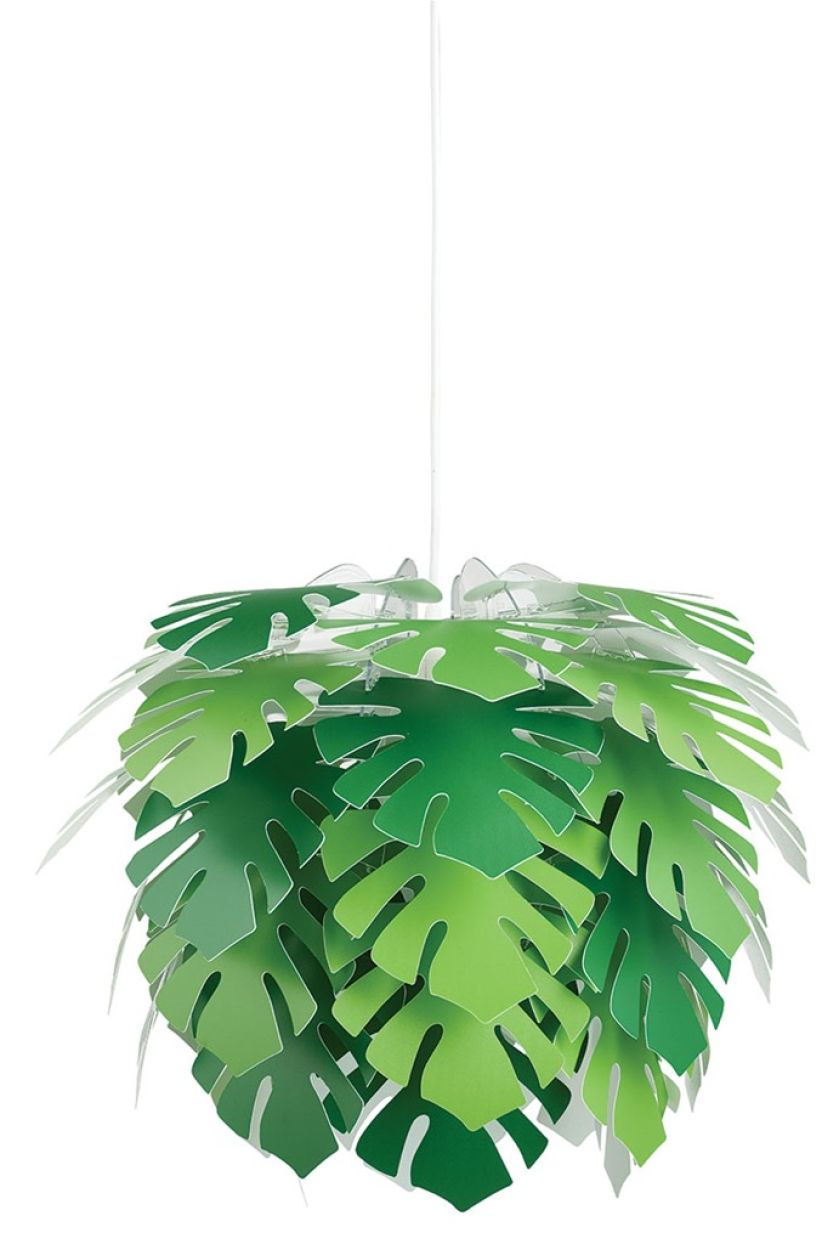 Dodatki do wnętrz: tropikalne rośliny i kwiaty