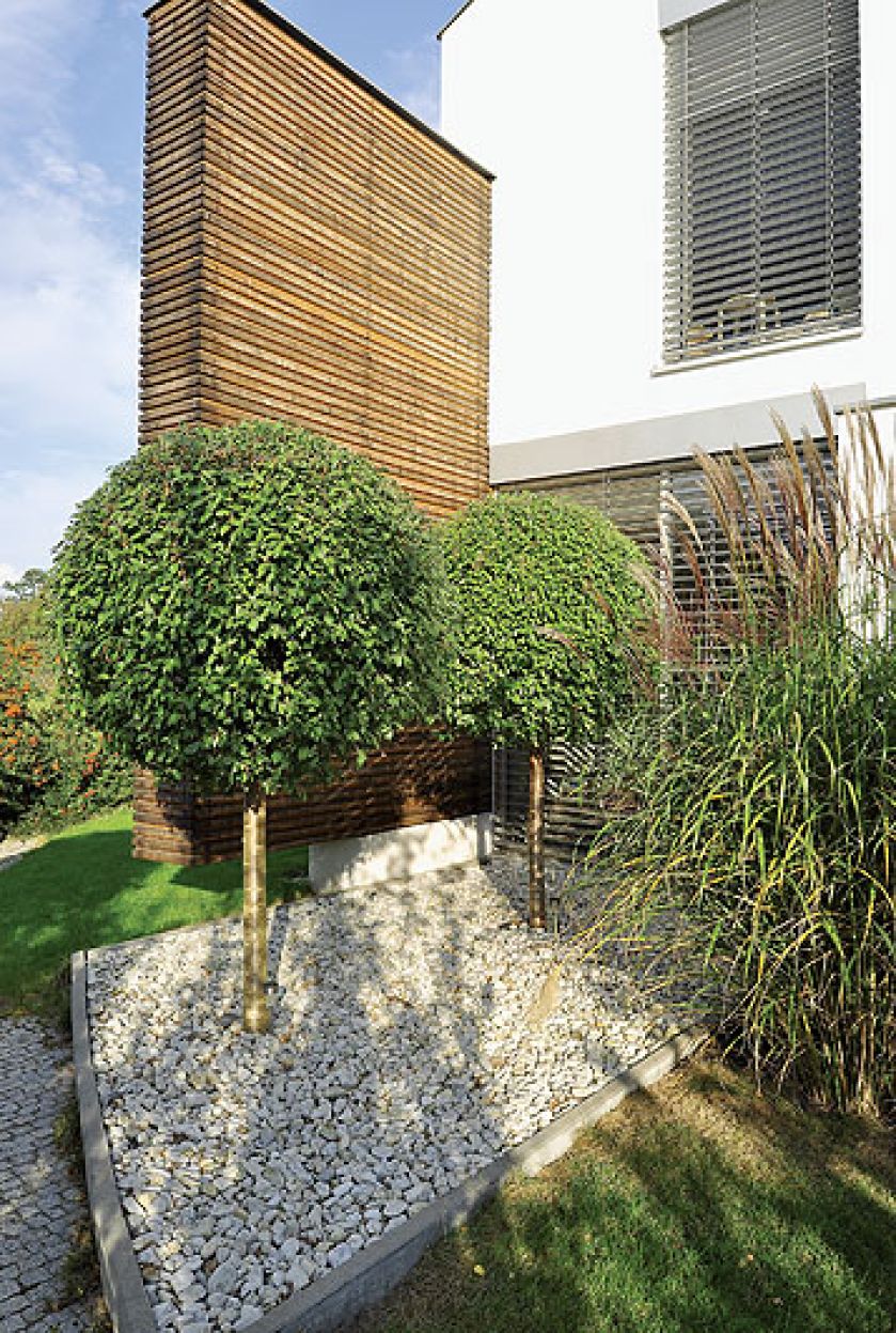 Okrągłe kępy puszystych traw, drzewka z kulistymi koronami, niewielkie głazy, kuliste kopczyki zarastające powoli mchem.