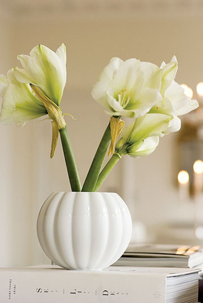 Porcelana Royal Copenhagen. Porcelana Royal Copenhagen