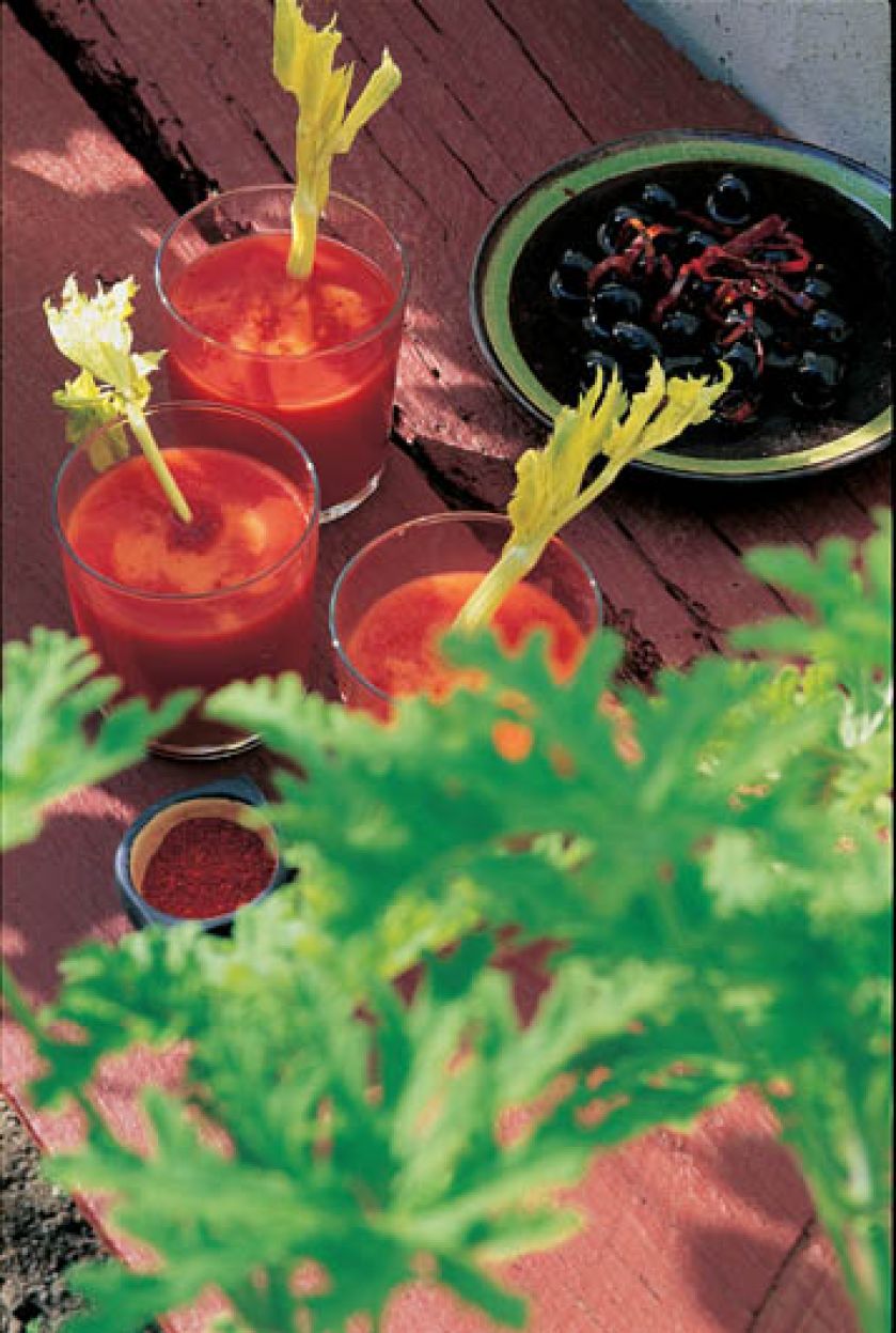 Sok pomidorowy albo krwawa Mary w wersji ogrodowej.