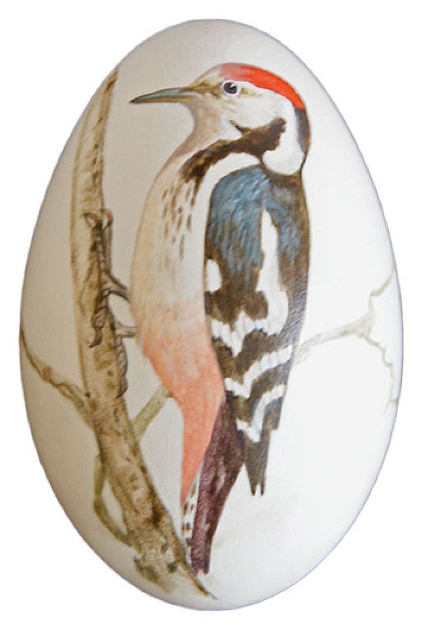 Projekt Haliny Kaczmarczyk. Święte jajo: co jest w nim magicznego, że zdobi je cały świat