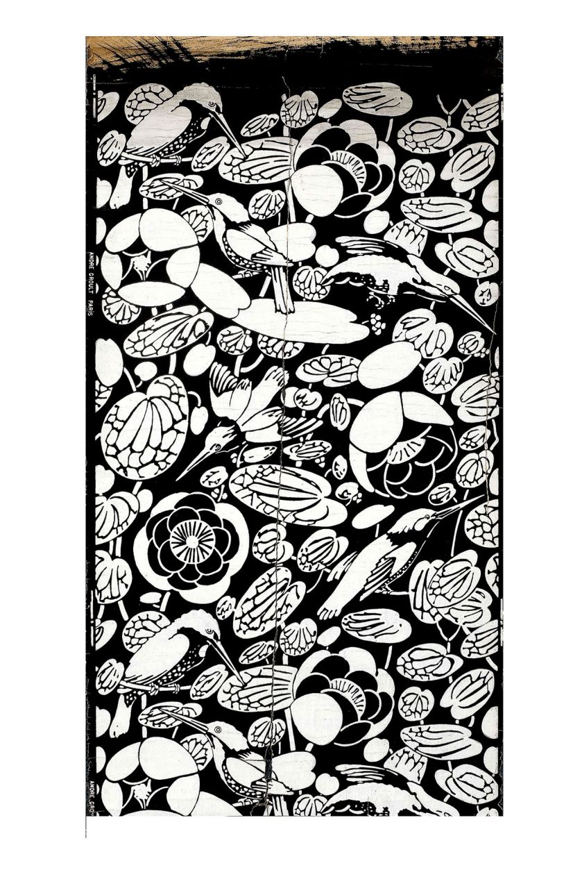 Kolibry i kiaty , XX w. Historia piękna: tapety