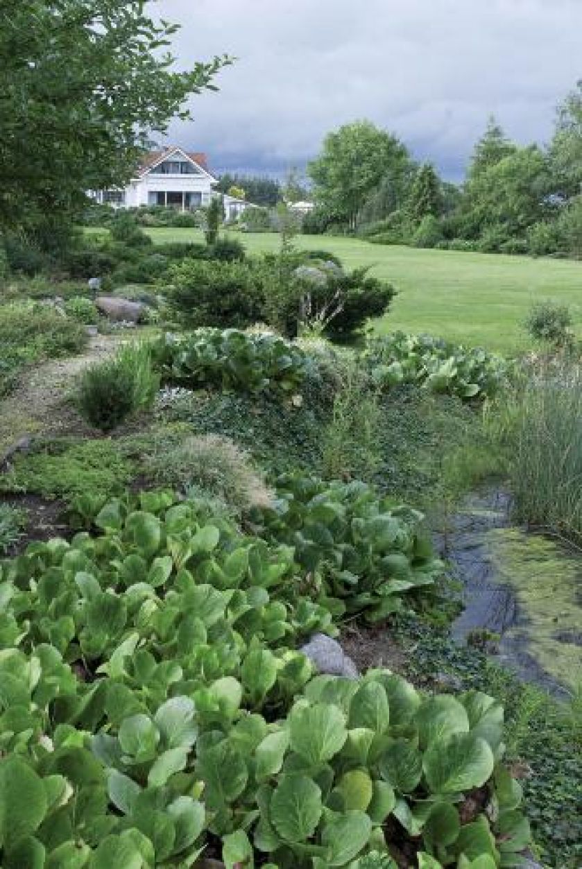Kto by pomyślał, że jeszcze niedawno było tu pole i rosło żyto.