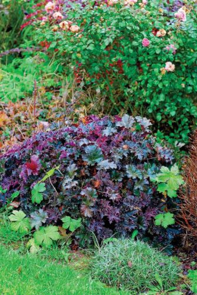 W tym ogrodzie królują róże. Jesień kolorowych traw