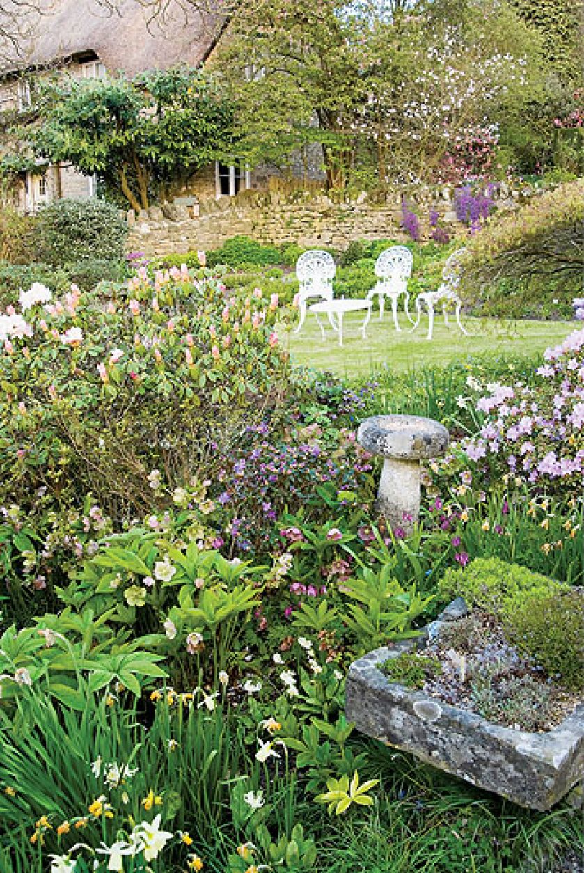 Kamienne dekoracje. Żonkile, pierwiosnki i czosnek