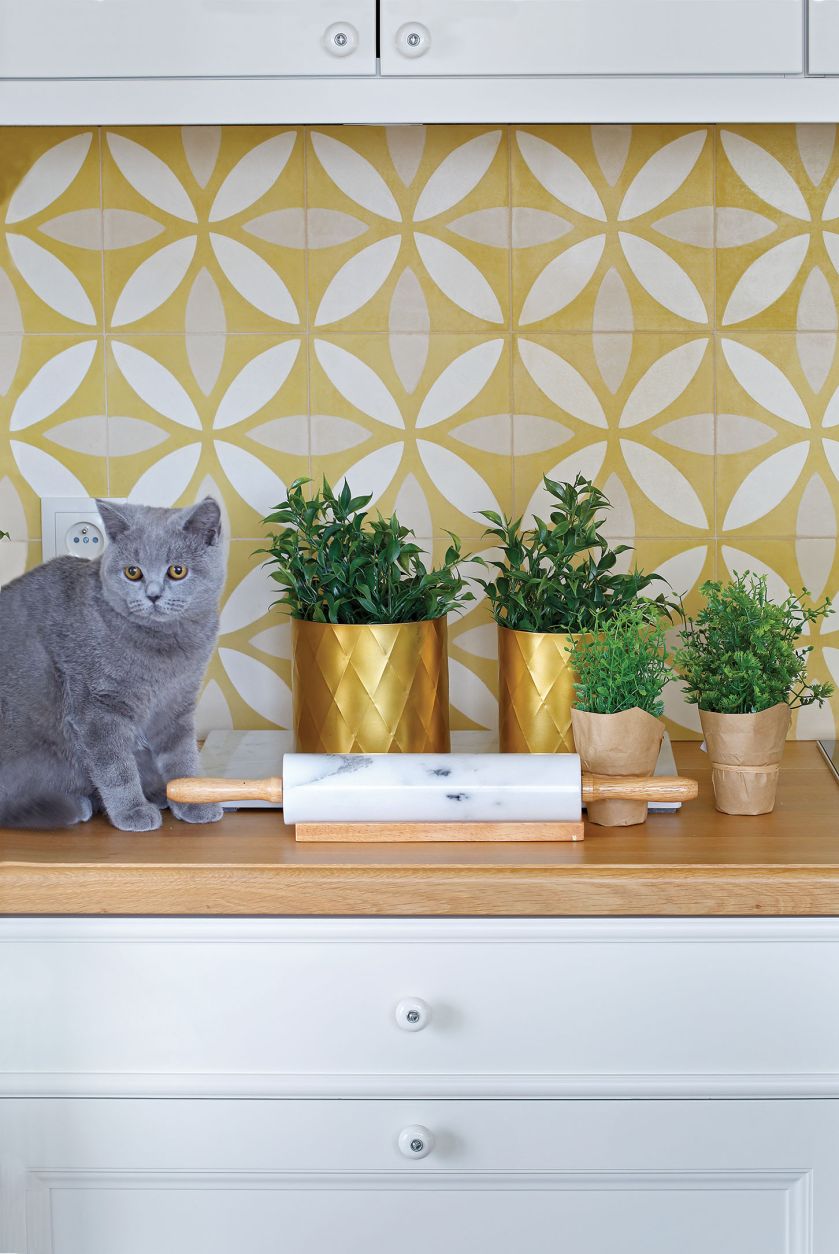 Kwiaty doniczkowe domowe - co wybrać?