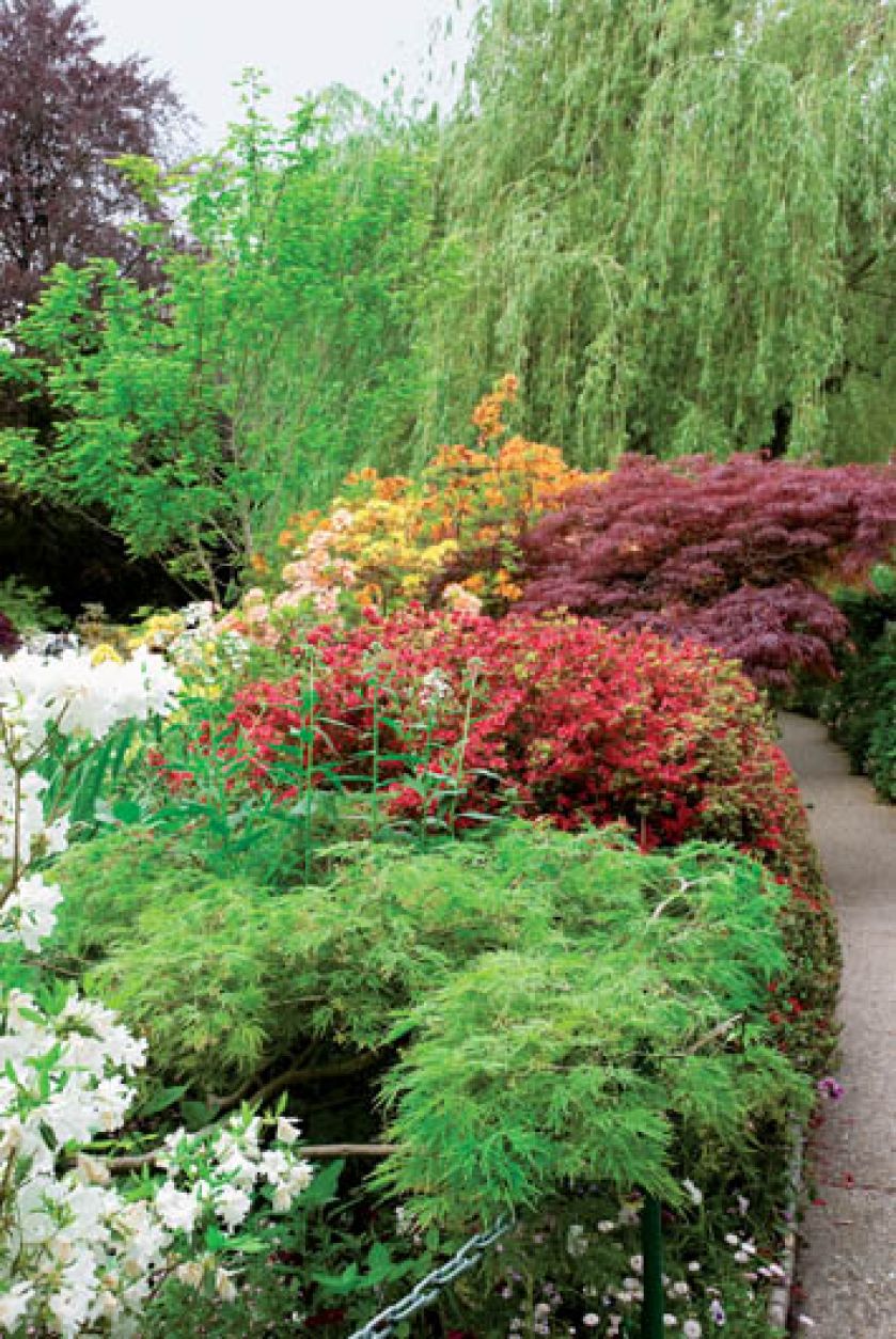 Malarz tworzył rabaty jednobarwne lub w dopełniajacych się kolorach.