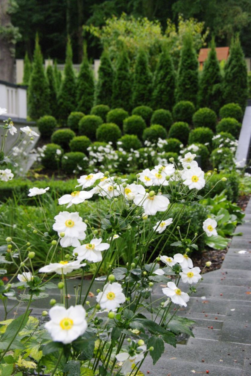 Ogród przy zabytkowej willi w Gdańsku