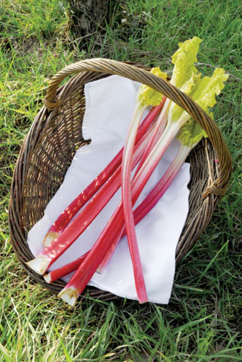 Rabarbarowa uczta. Rabarbarowa uczta