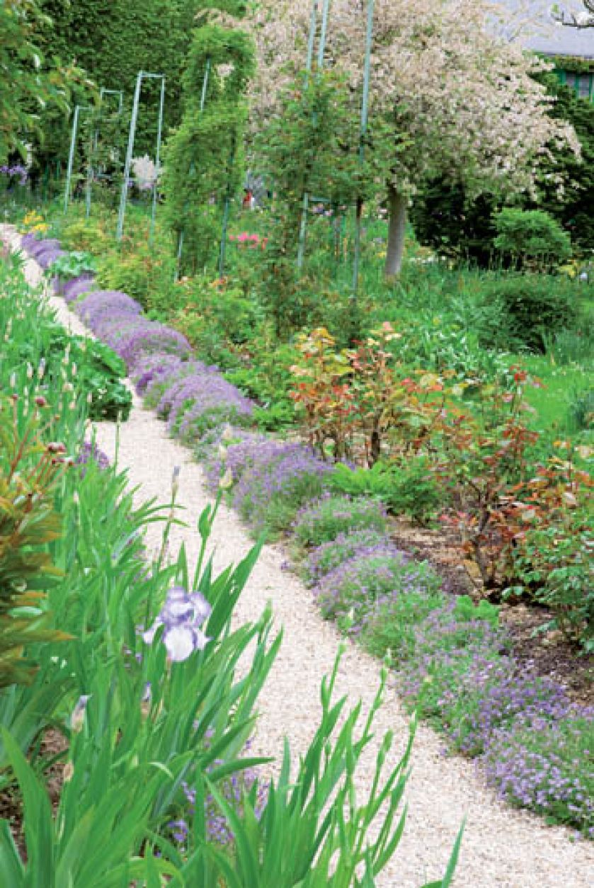 Wkrótce zakwitną irysy. Ogród Moneta w Giverny