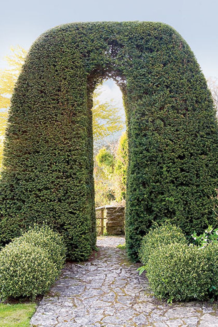 Żonkile, pierwiosnki i czosnek