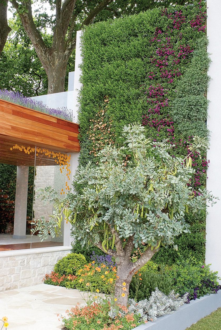 Kompozycja z kolorowych kwiatów sezonowych, np. Osteospermum lub minaturowych petunii z dodatkiem aromatycznych