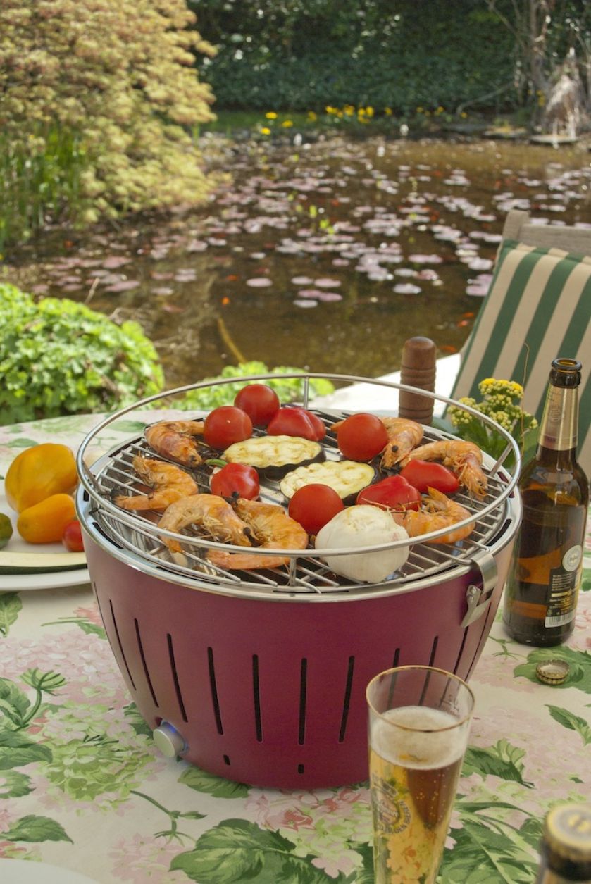 Letni król ogrodu - grill