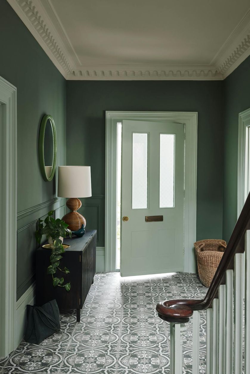 hol w odcieniach zieleni