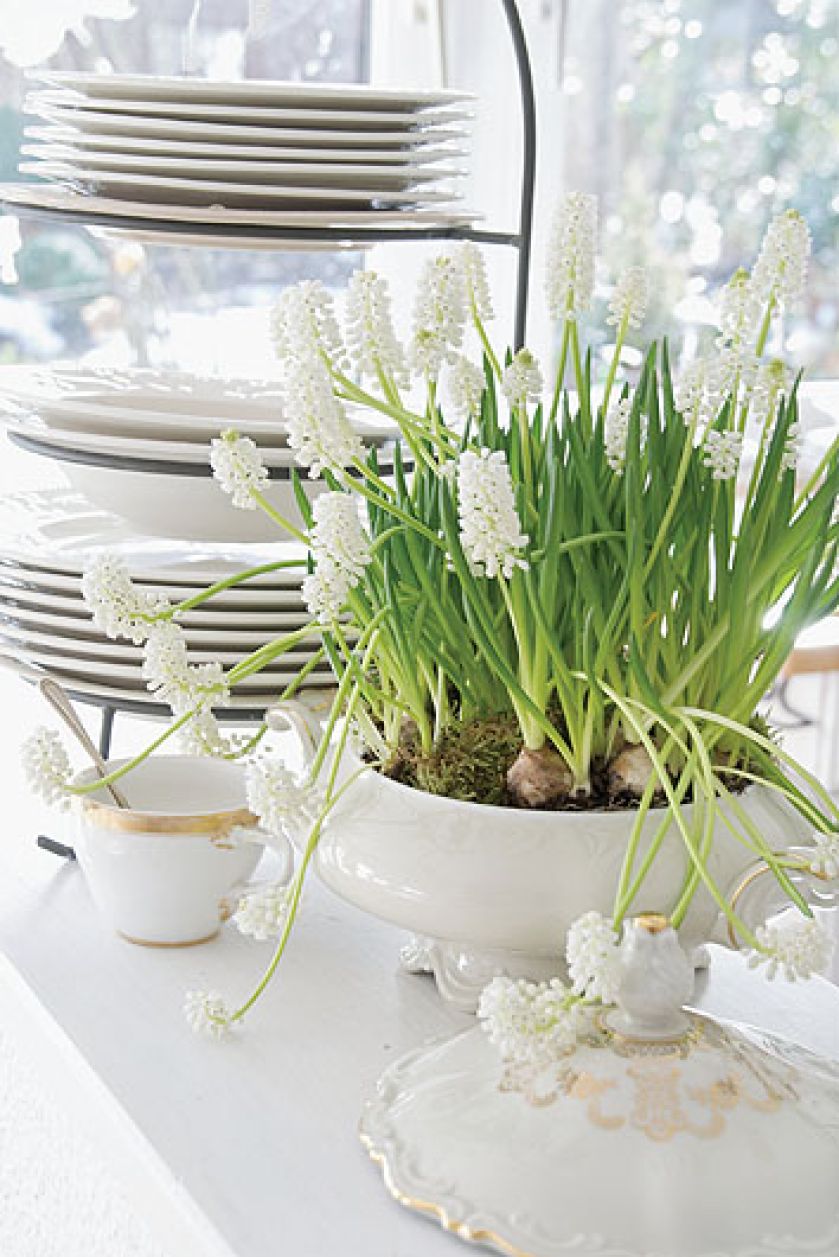 A gdyby tak zamiast tortu ułożyć na paterze wianek z bzów, niezapominajek i poziomek? A w klatce dla kanarka