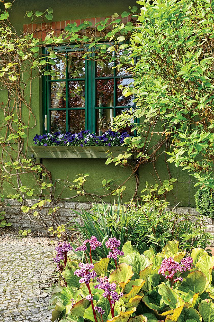 Gospodarze urządzili go na wzór parku.