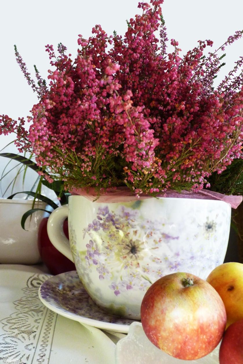 Jak zrobić jesienną dekorację z wrzosów? Wrzos posadzony w prowansalskiej doniczce nie bez powodu nazywany