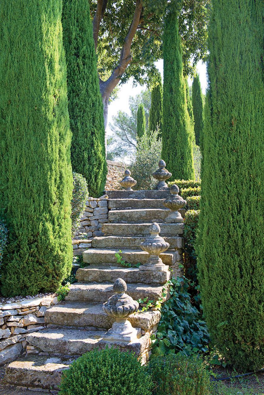 Kamienne schody prowadzące m.in. do basenu w ogrodzie.