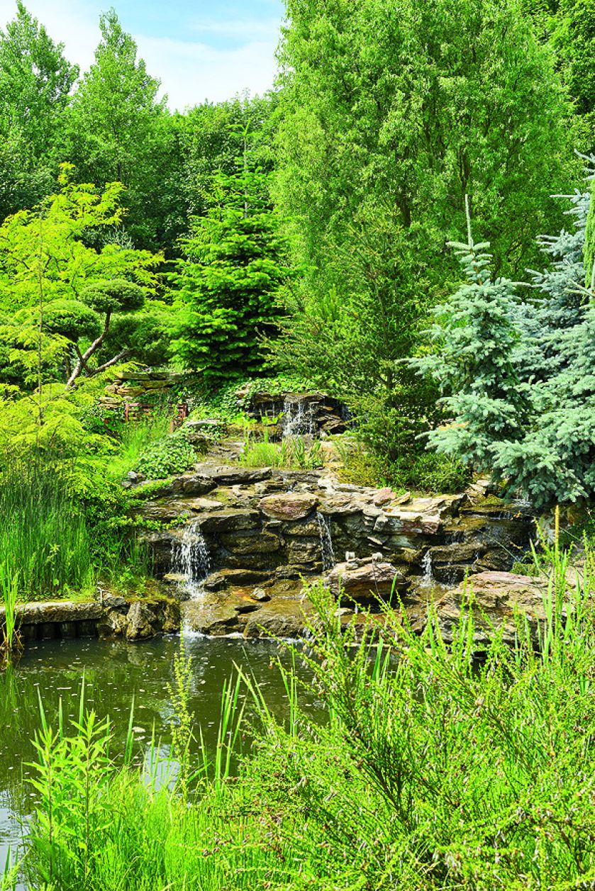 Kaskada z łupku serycytowego. Zieleń, kamień i woda