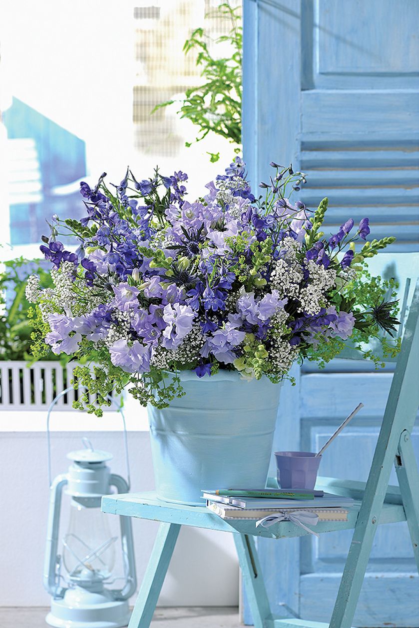 kwiaty na balkon latem