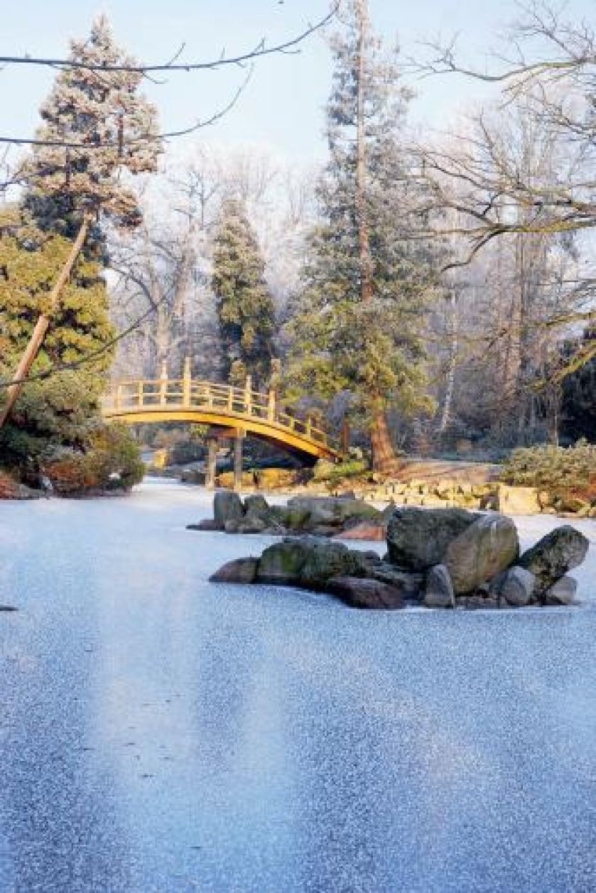 Łukowy mostek TAIKO BASHI i kompozycje ze skał najlepiej szarych o ciekawej faktyrze tego nie powinno zabraknąć w japońskim