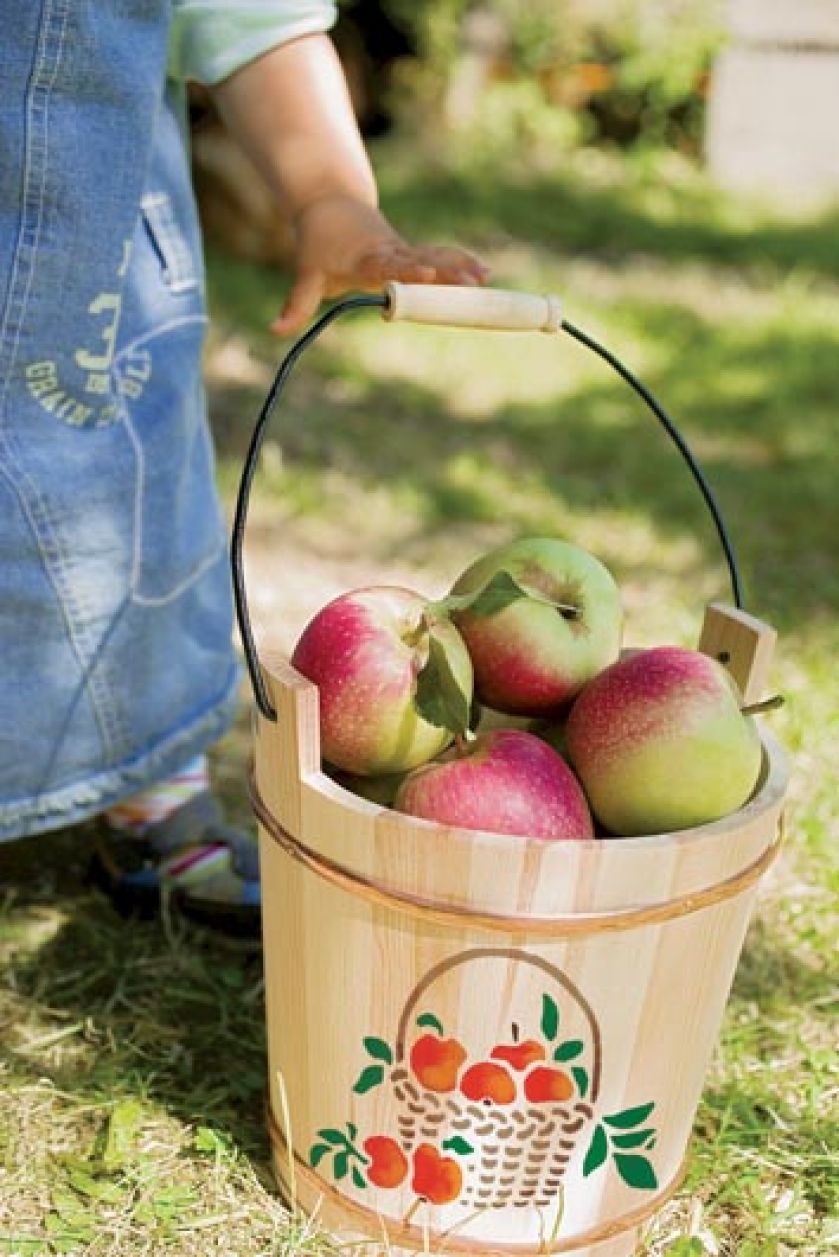 Malowany cebrzyk dla stylowej ogrodniczki.