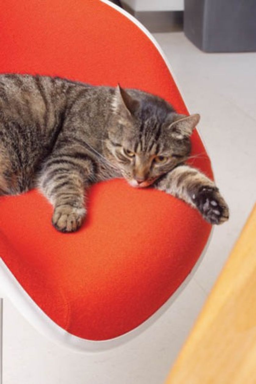 Modernistyczny styl i dobra sztuka. Bo obrazy są jak meble, bez których nie ma domu.