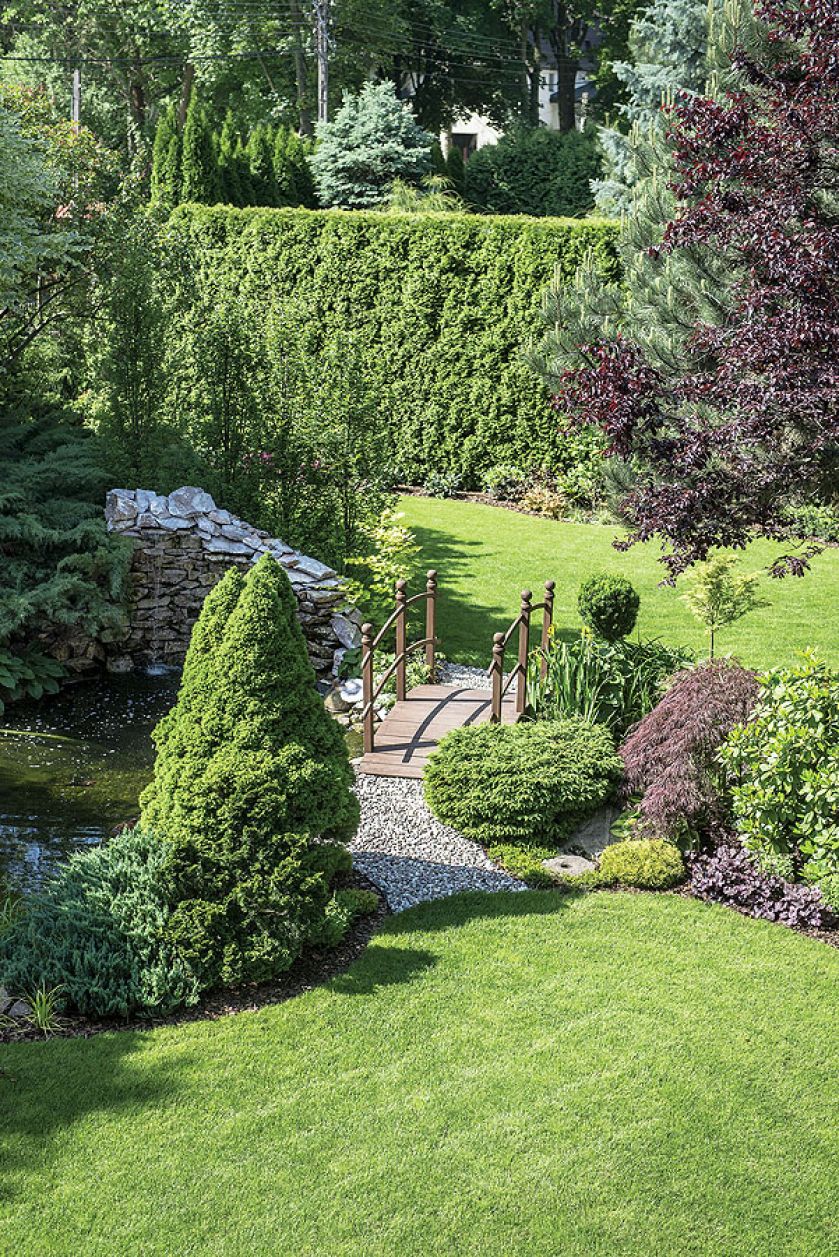 Na przykład pasiastych kordylin australijskich z kolorowymi sałatami.