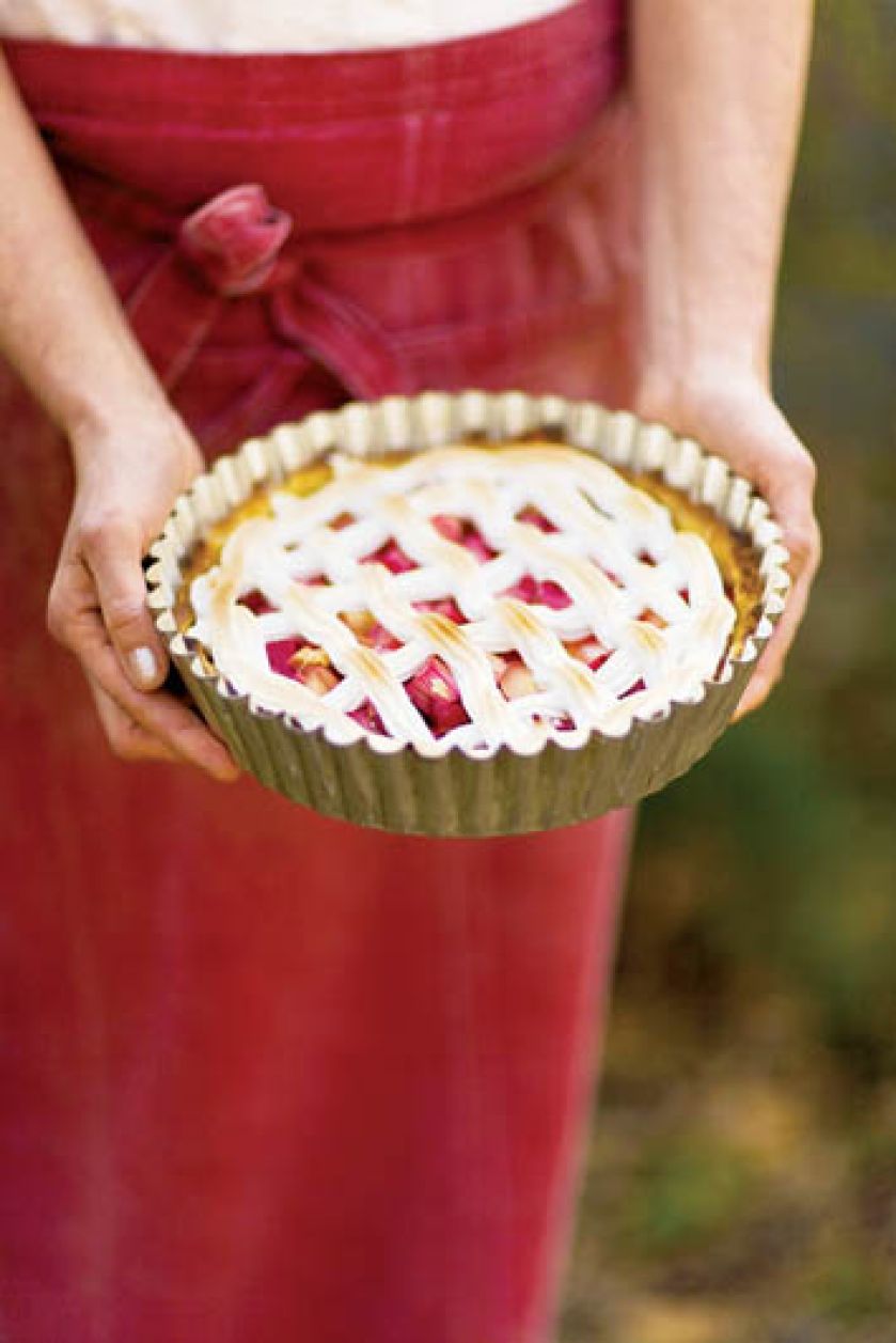 Paj rabarbarowy. Rabarbarowa uczta