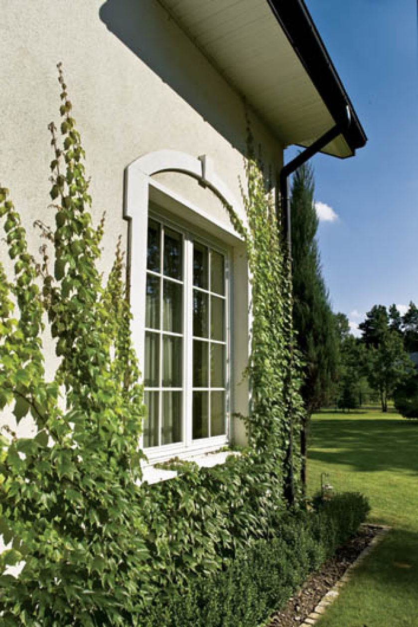 Ściana porośnięta bluszczem. Podmiejski dom zmienia życie