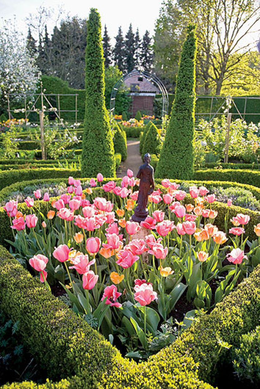 Ścieżki i rabaty obsadzone niskimi żywopłotami i bukszpanowymi kulami albo stożkami.