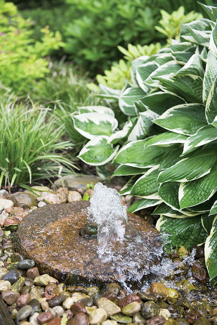 Spływając na trawę, przechodzą w odpowiednio dobrane kolorystycznie berberysy.