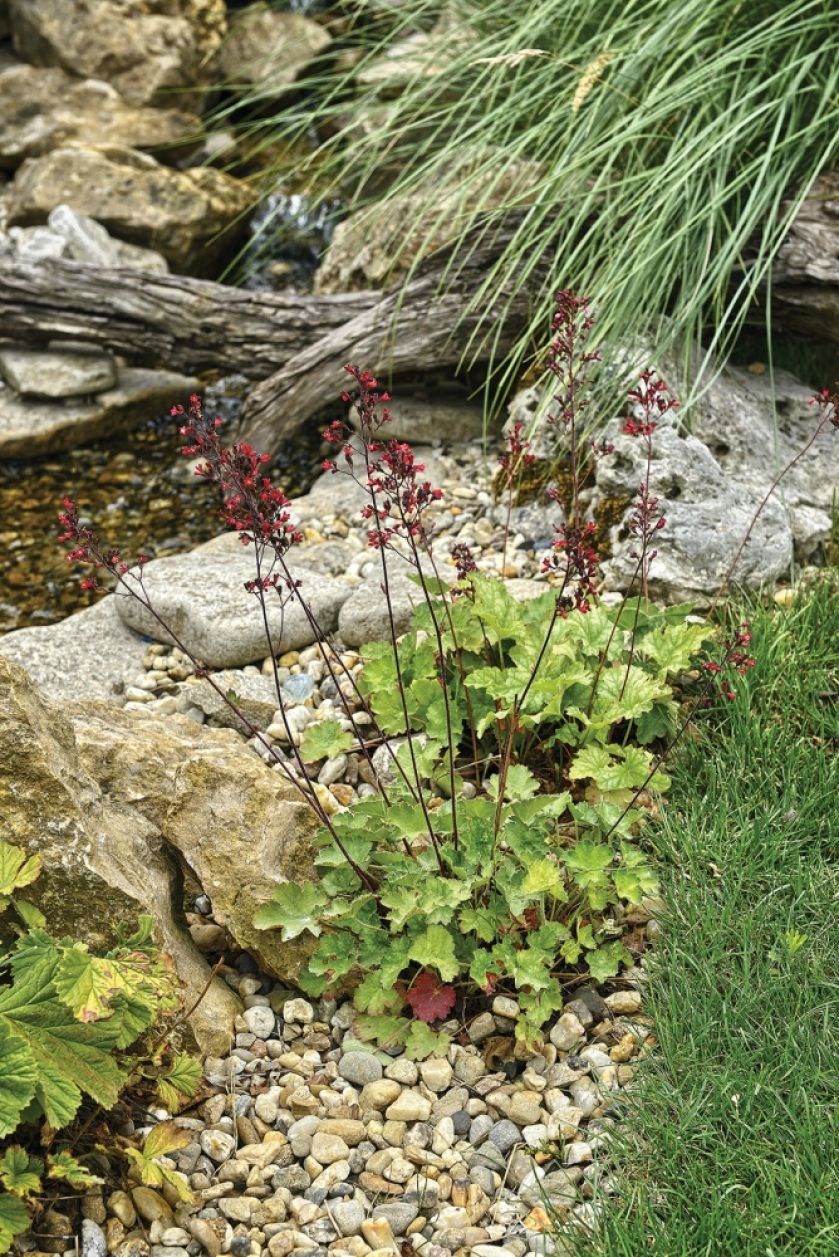 ogród ze śródziemnomorskim skalniakiem