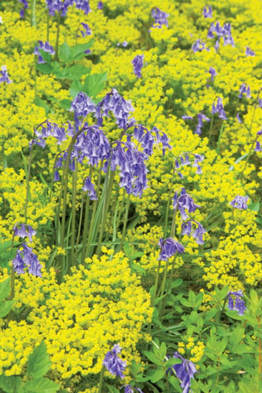 Ta część ogrodu została ukończona w 1958 roku.