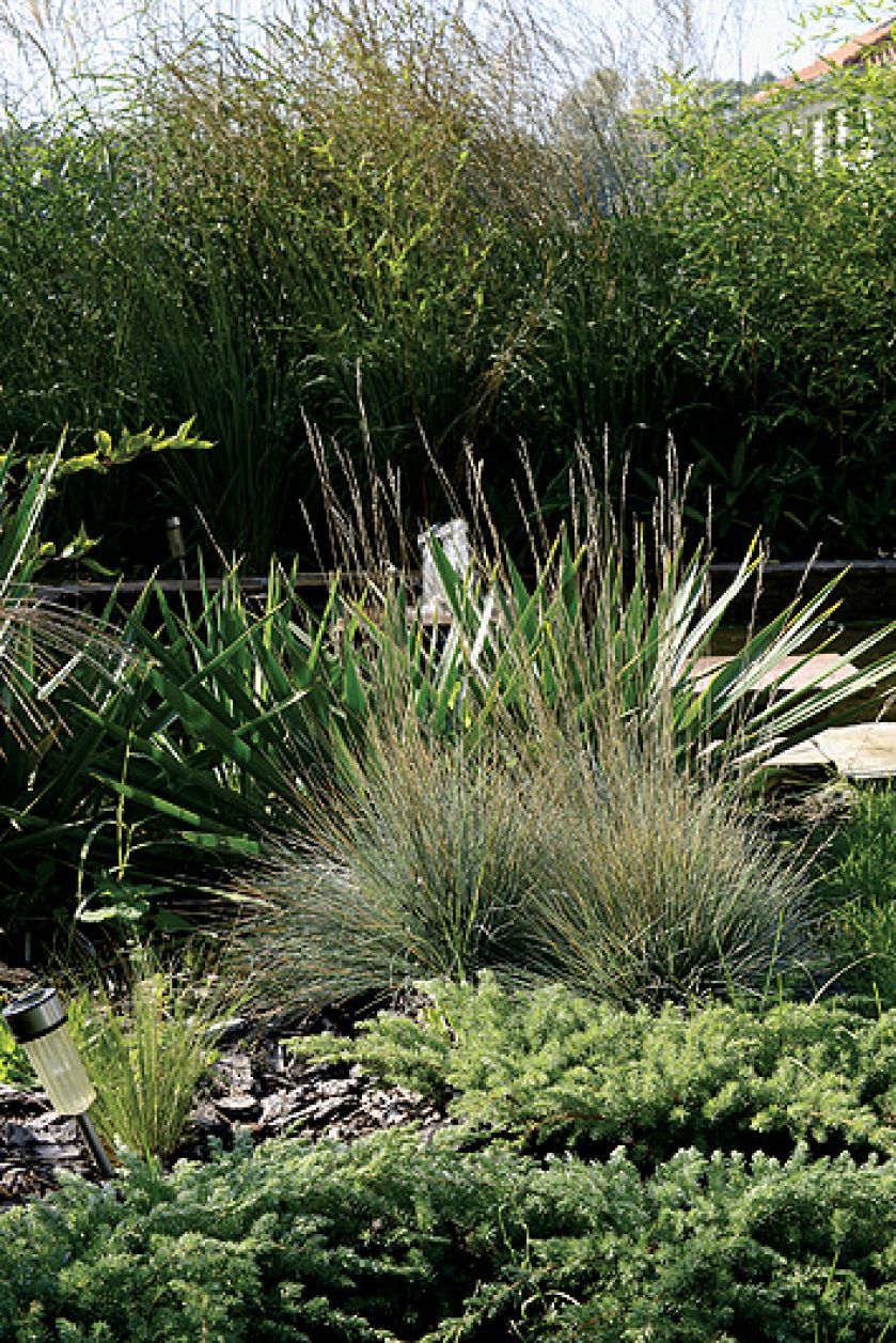 Trawy pięknie szeleszczą i szybko rosną, dzięki czemu ogród ciągle się zmienia.