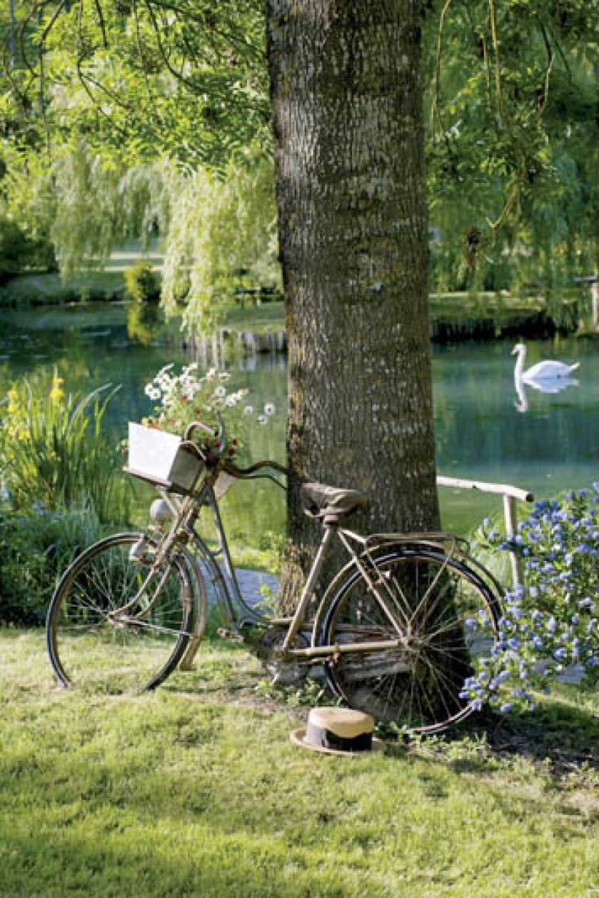 Wiosna to doskonały moment, aby wsiąść na rower. Fot. Stockfood/Free