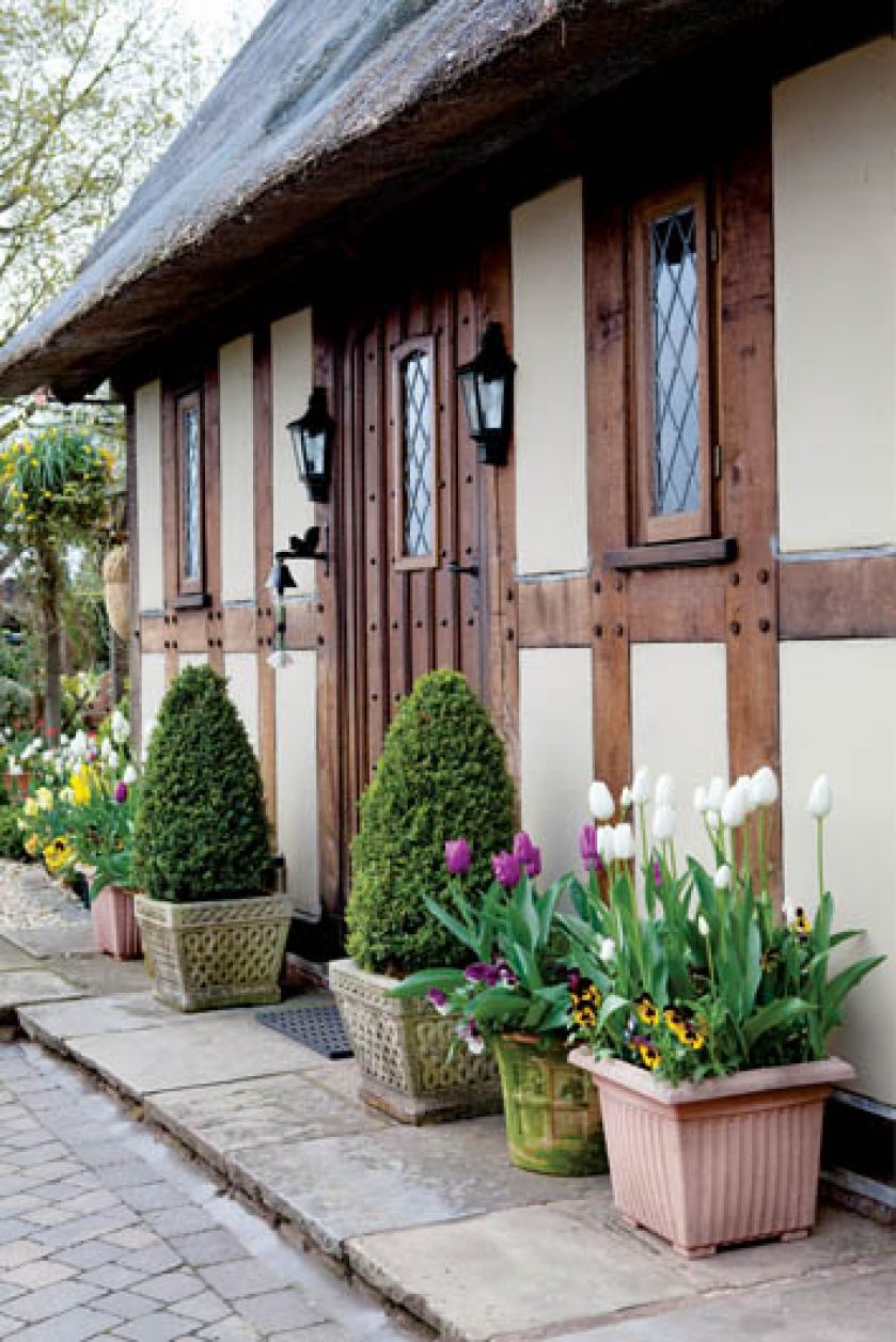 Little Larford - tulipanowy ogród