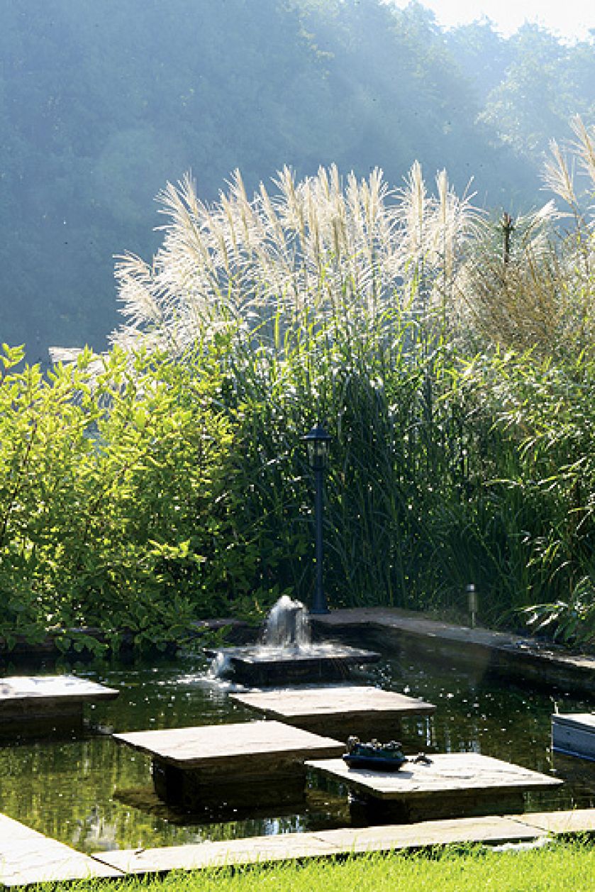 Wokół basenu przysiadły wysokie mikanty i rozplenice z kwiatostanami w kształcie szczotek.