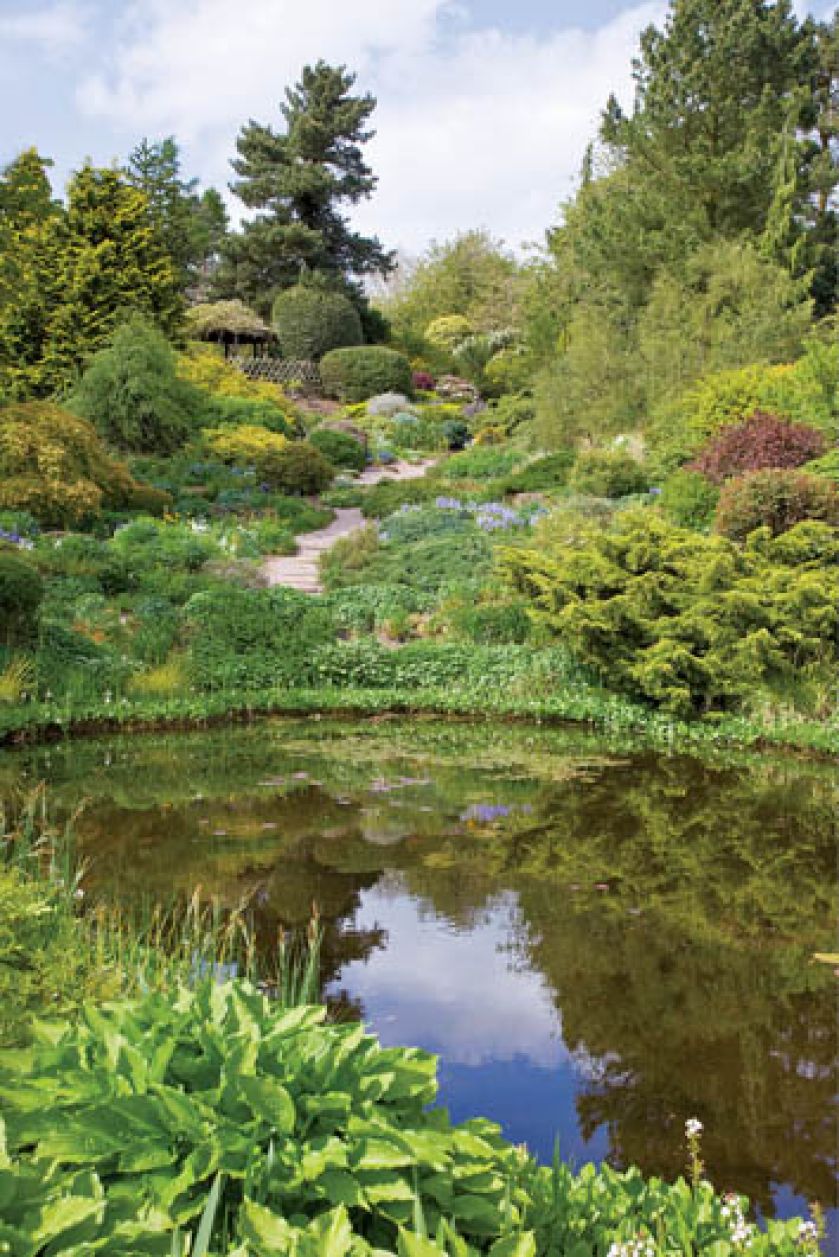 Zaciszne oczko wodne porośnięte funkiami, cisami, jałowcami i wrzoścami.