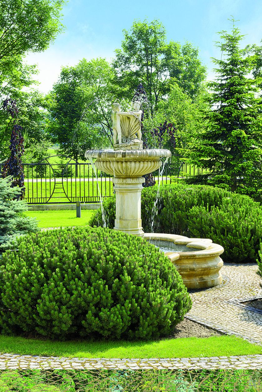 Zieleń, kamień i woda