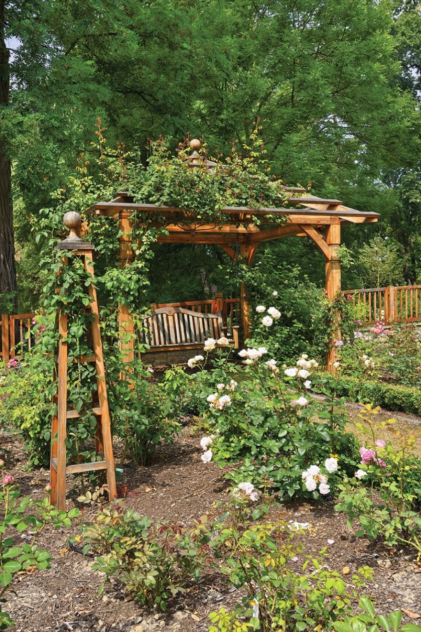 ogród różany w Bilczycach