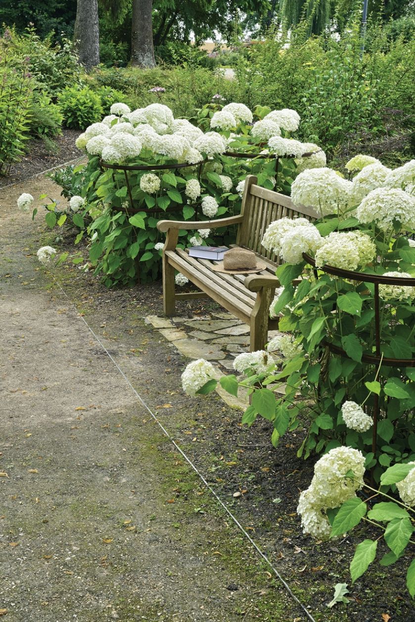 Dwór i ogród w Bilczycach