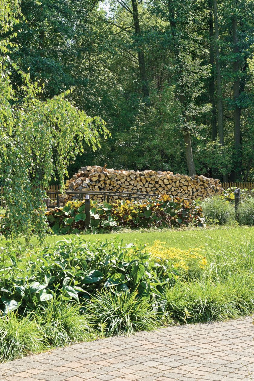 Michał Skrobot skonstruował pompę, która wode do podlewania pobiera spod lustra rzeki. Jest cieplejsza niż