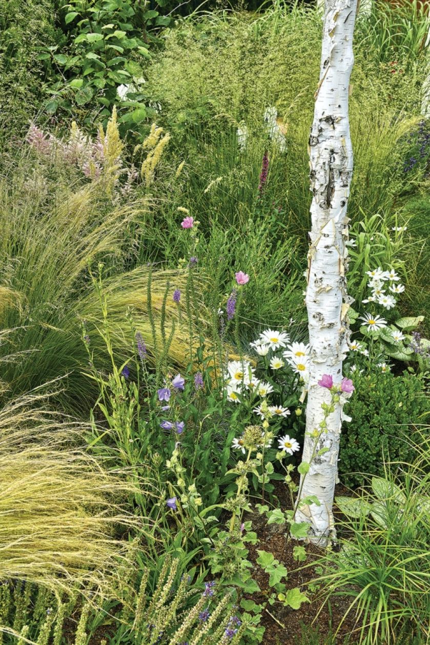 ogród ze śródziemnomorskim skalniakiem i górskim potokiem