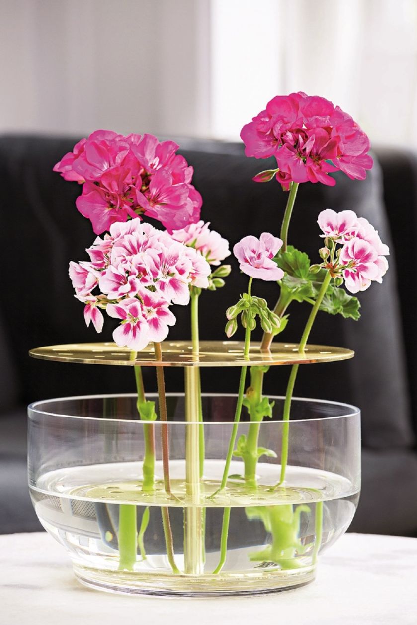 Pomysły na piękne bukiety i dekoracje z pelargonii