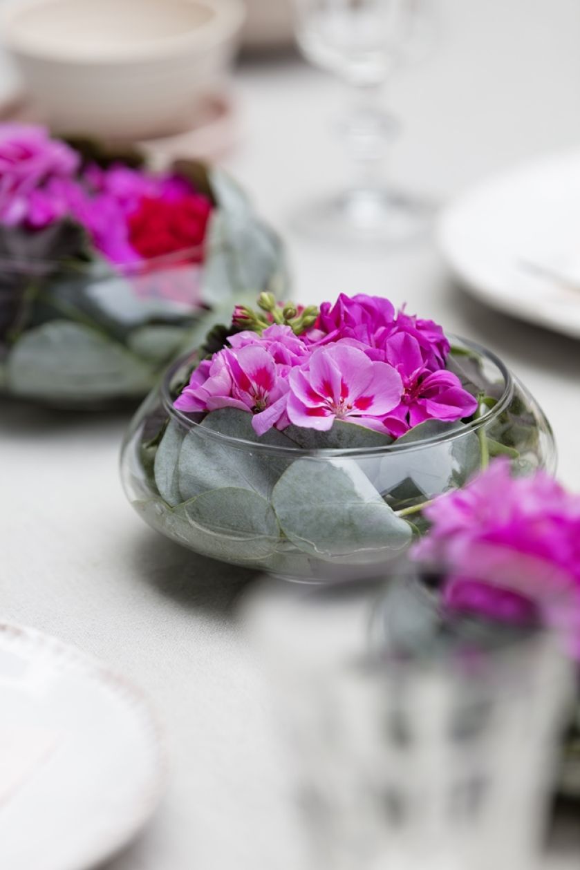 dekoracje na stół z pelargonii