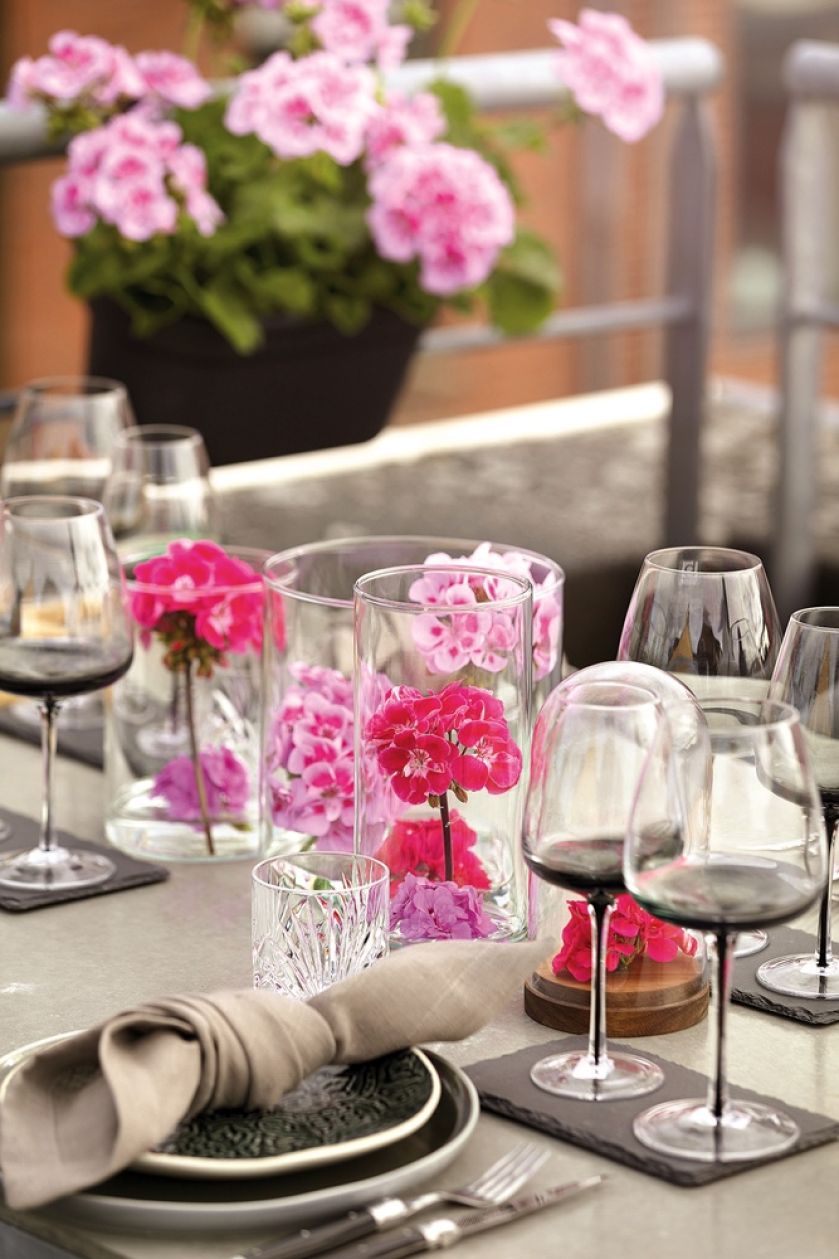 pelargonia dekoracje stołu na przyjęcie