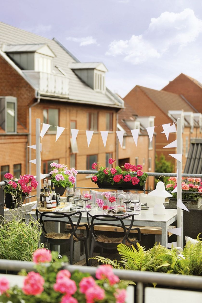 Pomysły na piękne bukiety i dekoracje z pelargonii